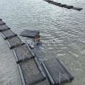 ทรงกระบอกหอยนางรม HDPE PET ลอย